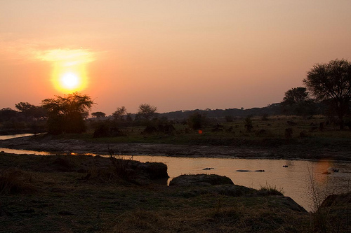 Katavi National Park